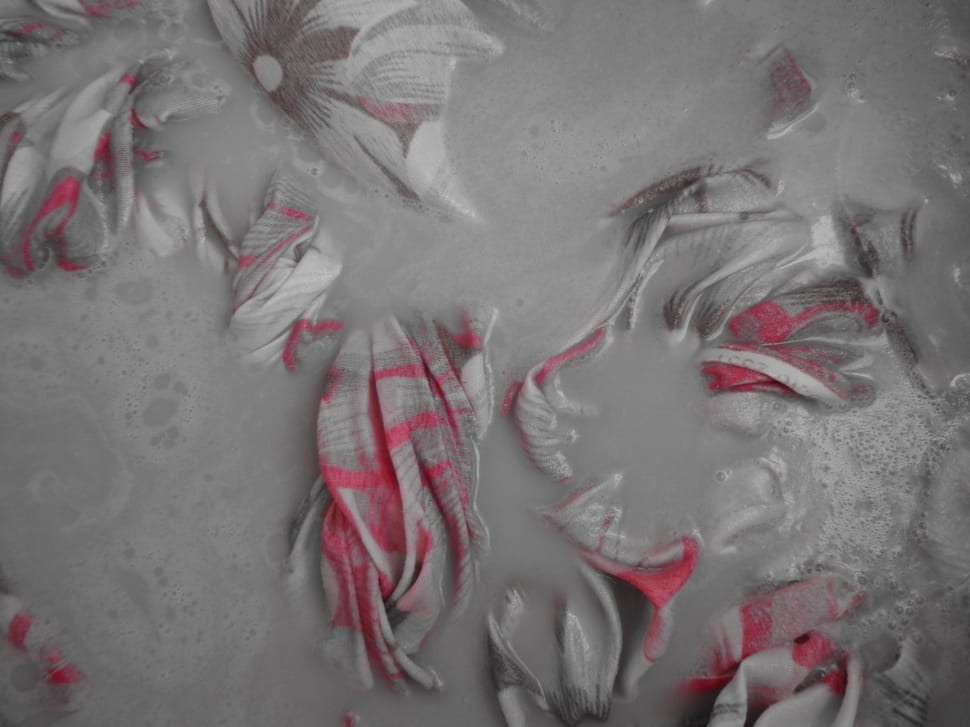 white and red floral textile preview