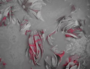 white and red floral textile thumbnail