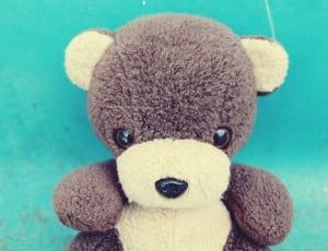 brown bear plush toy thumbnail