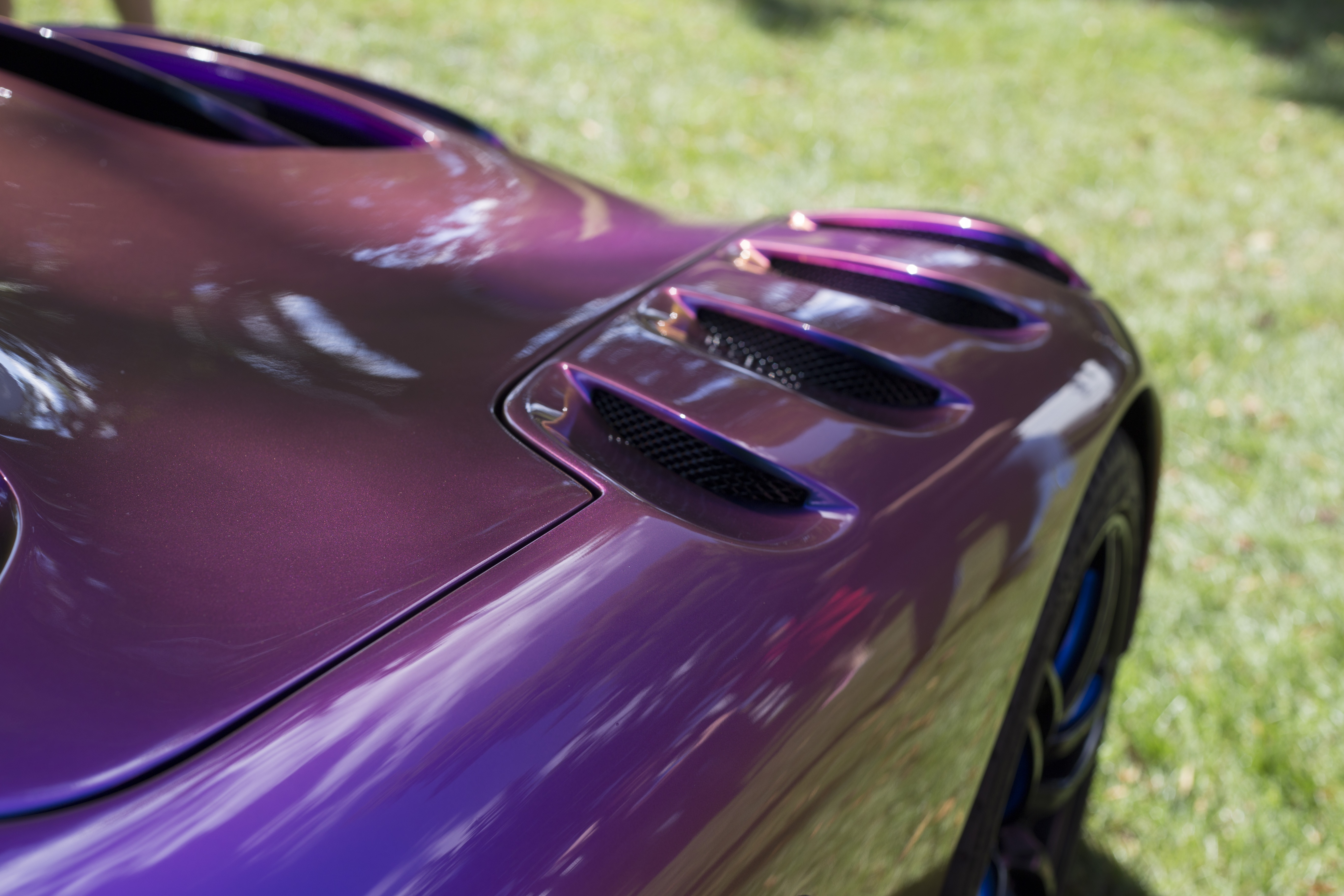 purple luxury car on green grass field