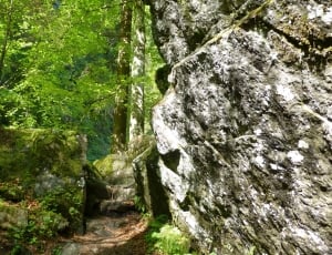 rock formation with green mosses thumbnail