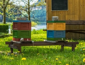 Meadow, Colorful, Color, Flowers, Spring, grass, beehive thumbnail