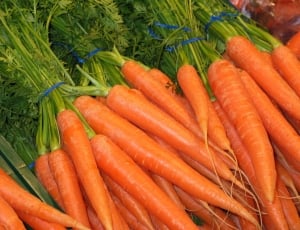 pile of orange carrots thumbnail