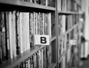 greyscale photo of b note in bookshelf thumbnail