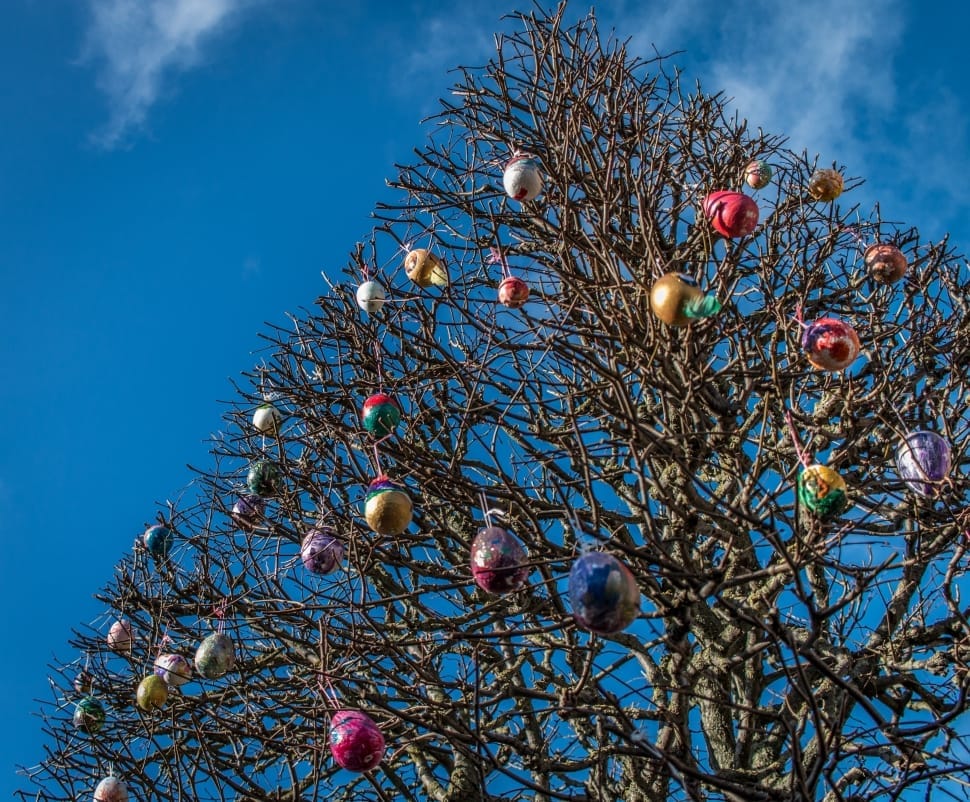leafless tree with baubles preview