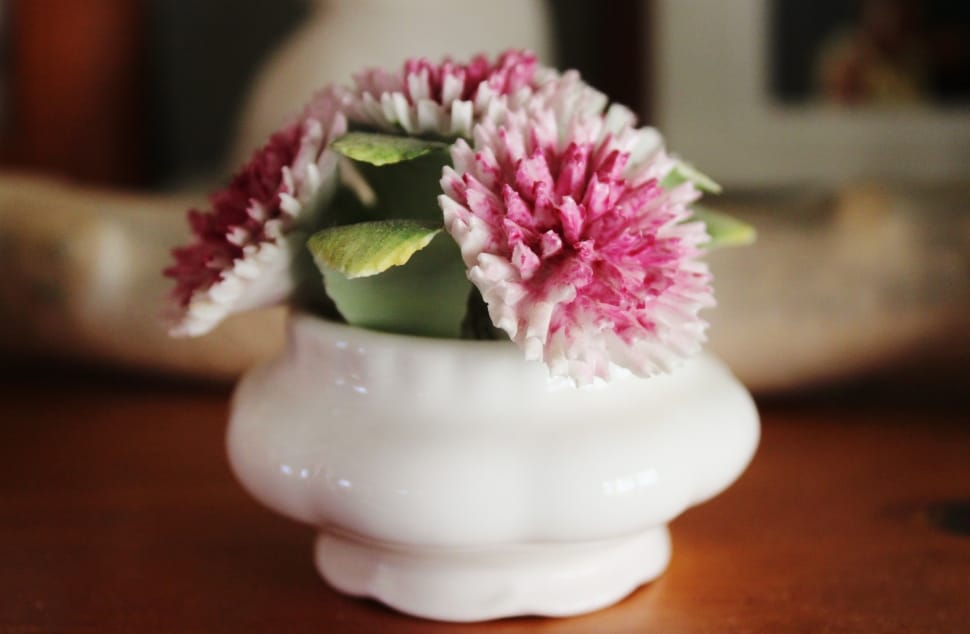 Porcelain, Floral, Flower, Pink, White, flower, indoors preview