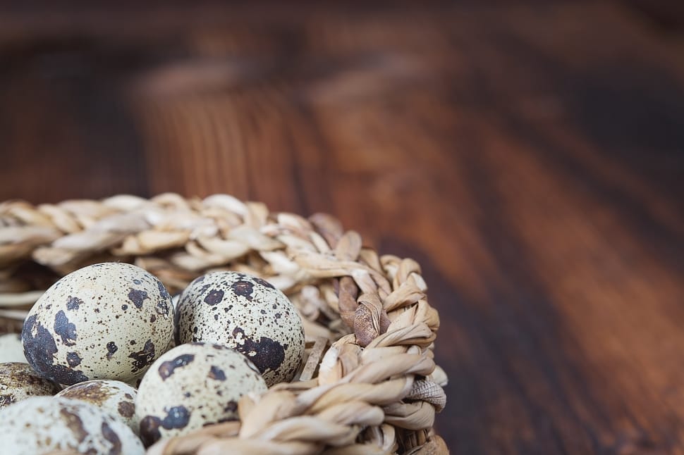quail egg preview
