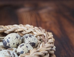 quail egg thumbnail