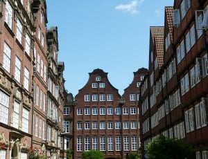 brown and white buildings thumbnail