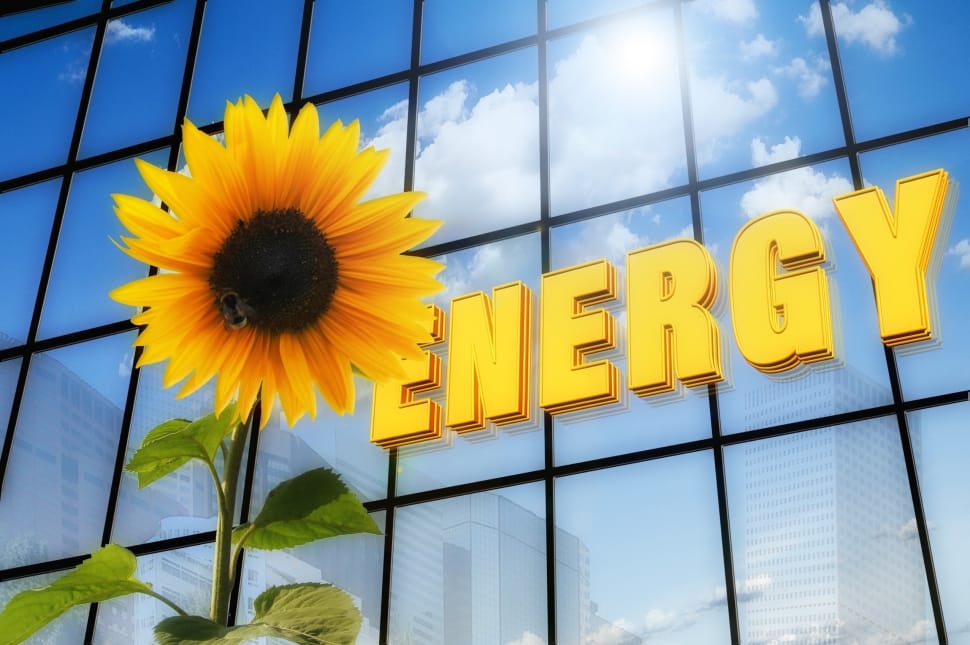 Energy, Font, Solar, Sun Flower, building exterior, architecture preview
