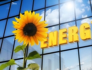 Energy, Font, Solar, Sun Flower, building exterior, architecture thumbnail