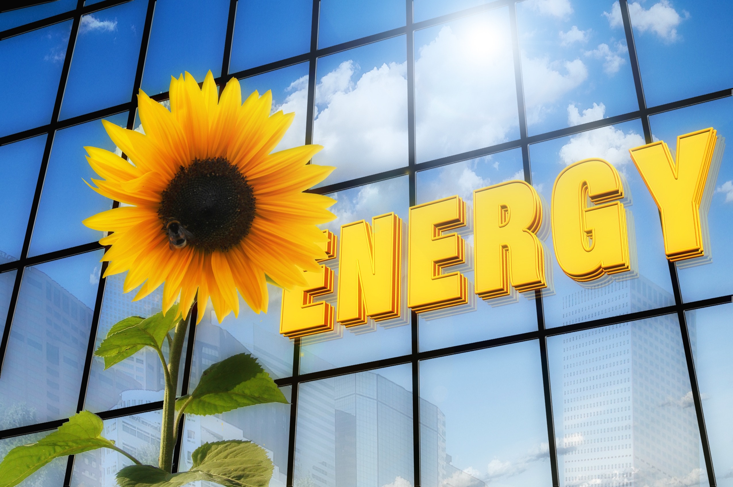 Energy, Font, Solar, Sun Flower, building exterior, architecture
