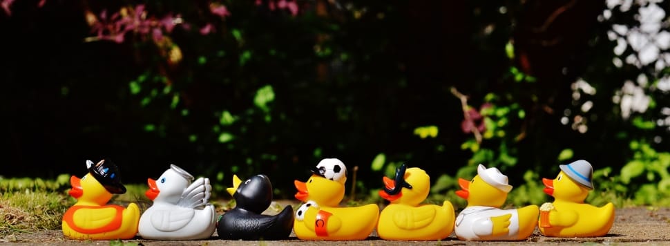 yellow and white ducks plastic toys preview