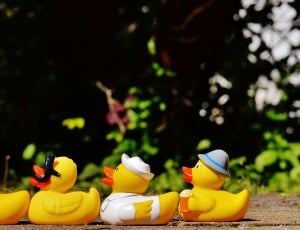 yellow and white ducks plastic toys thumbnail