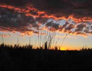 Clouds, Sky, Nature, Grassland, Sunset, sunset, silhouette thumbnail