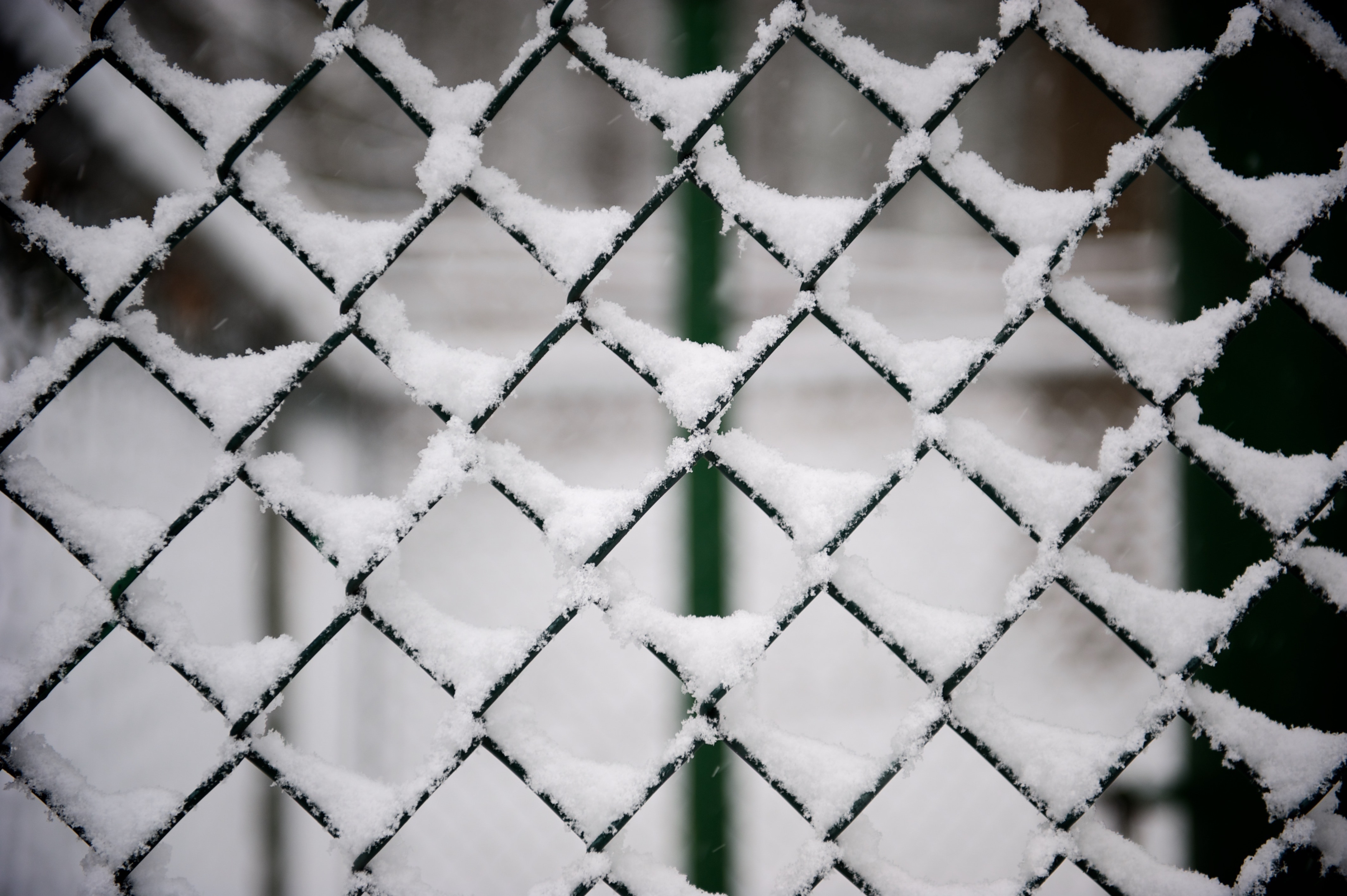 gray cyclone fence with snow