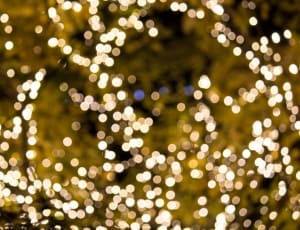 Lights, Holiday, Bright, Glow, Celebrate, christmas, illuminated thumbnail