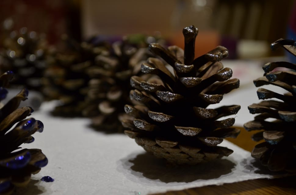 pine cone lot preview