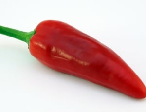 red chili pepper thumbnail