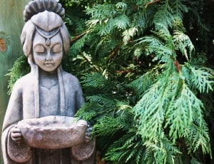 green leaf tree and human statue thumbnail