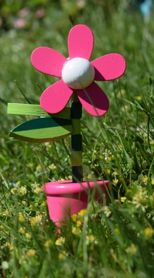 Holzblume, Flower, Toys, Children Toys, pink color, flower thumbnail