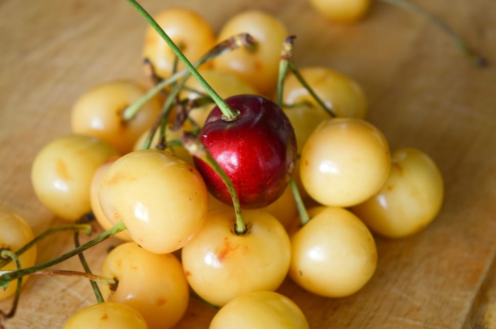 red cherry and cherry lot preview