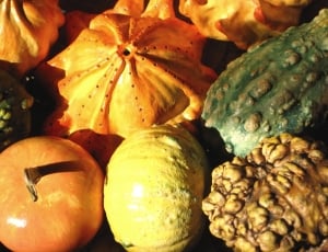 assorted exotic fruit collection thumbnail
