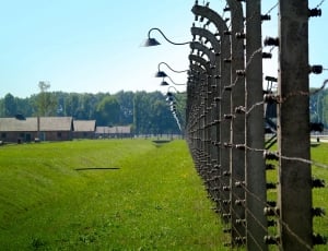 Concentration Camp, Auschvitz - Birkenau, grass, security thumbnail