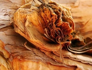 brown wood carving thumbnail