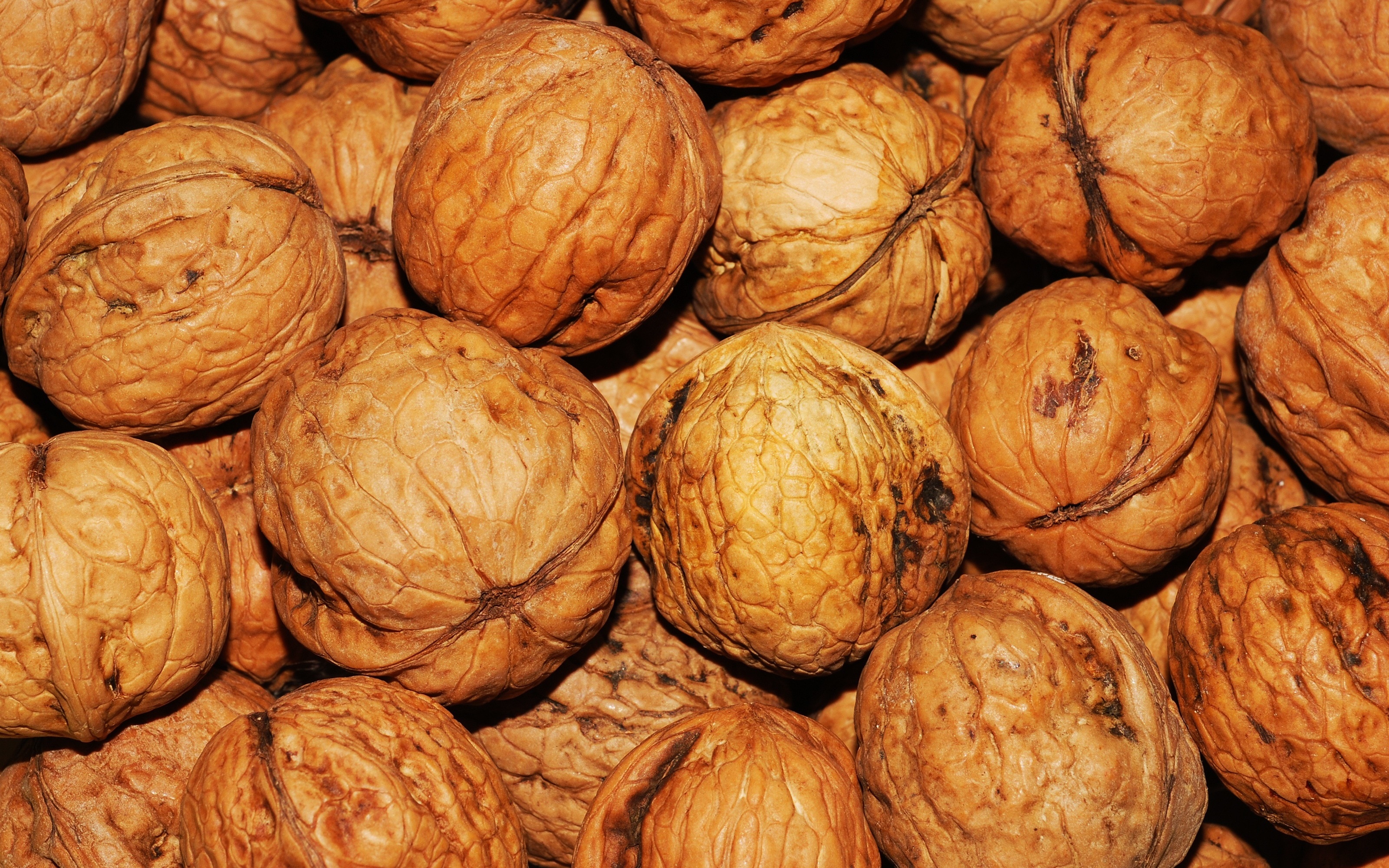 walnut lot