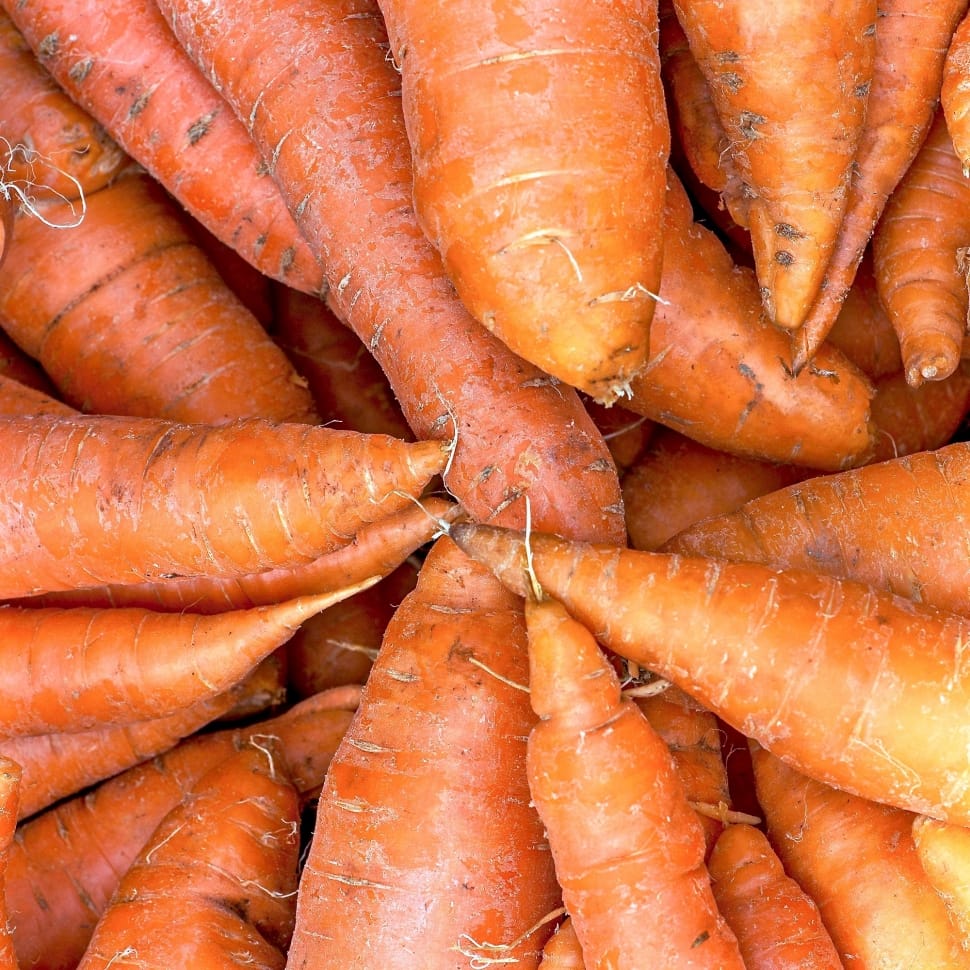 close up photo of carrots preview