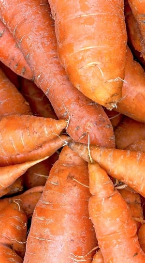 close up photo of carrots thumbnail