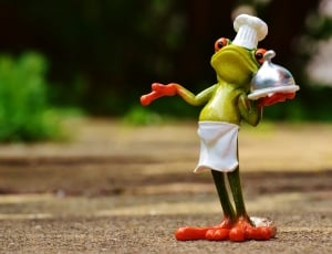green frog chef during day time thumbnail