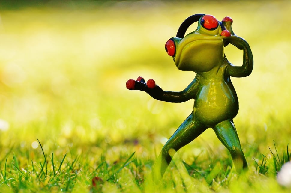 Frog, Music, Headphones, Fig, Meadow, no people, selective focus preview
