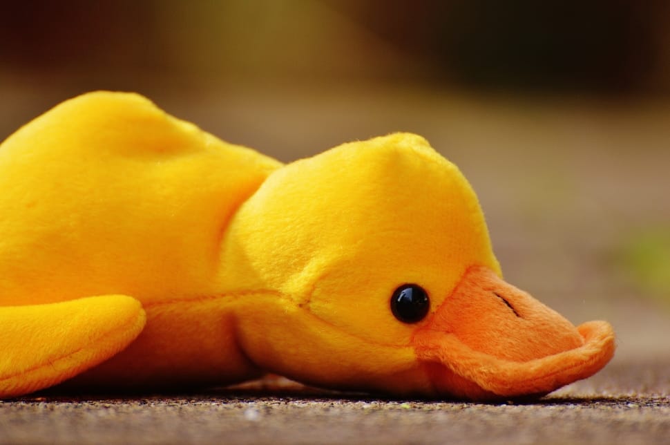 Children, Toys, Soft Toy, Funny, Duck, one animal, yellow preview
