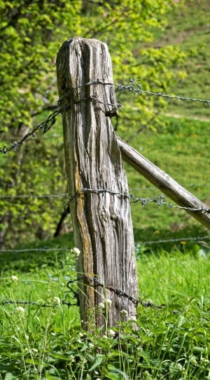 brown wooden pole and barbwire thumbnail