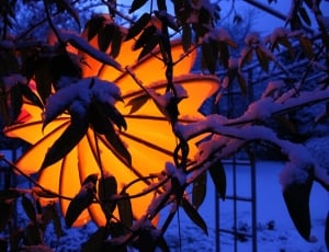 lamp behind snow covered leaves during nighttime thumbnail