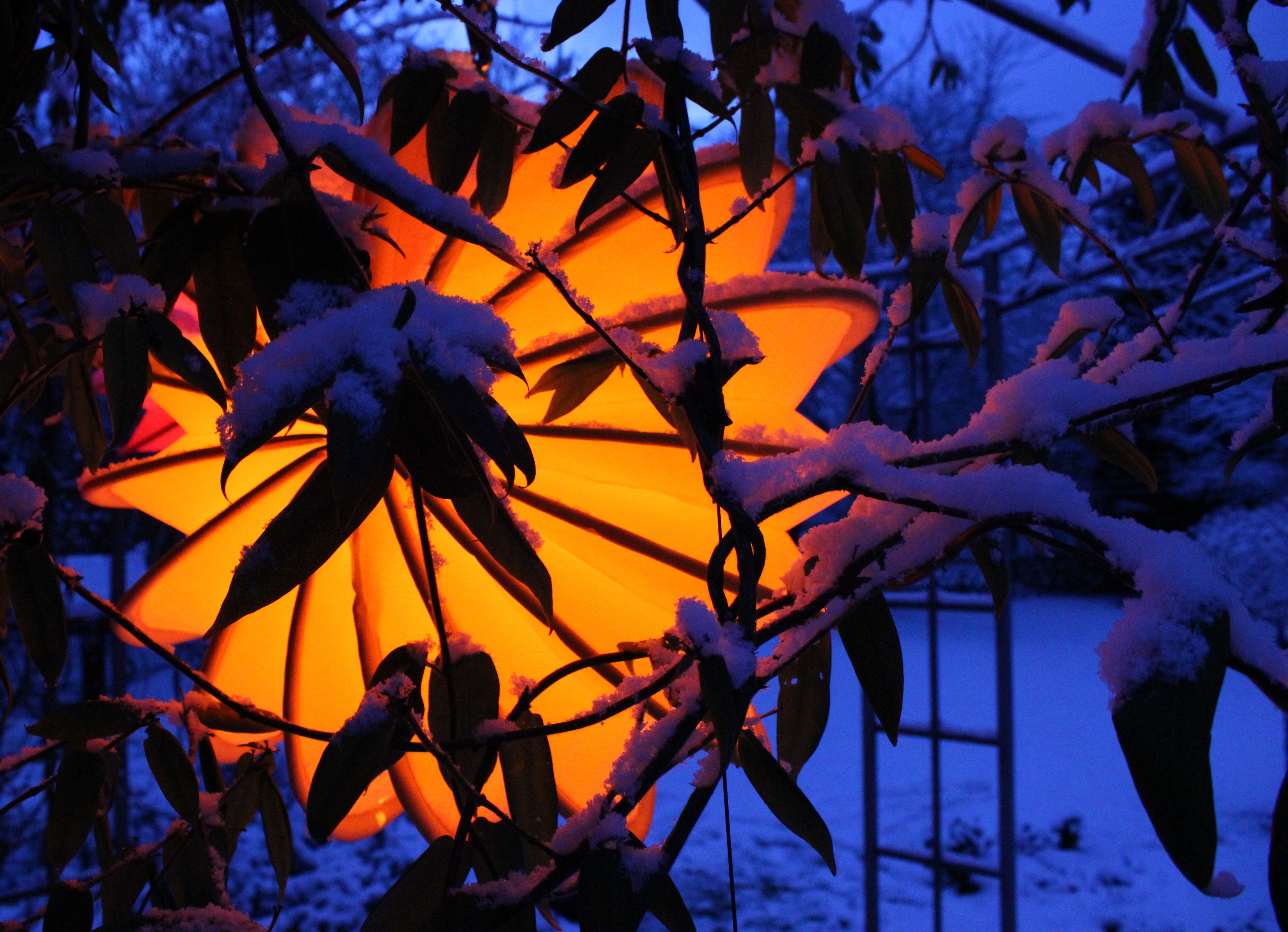 lamp behind snow covered leaves during nighttime