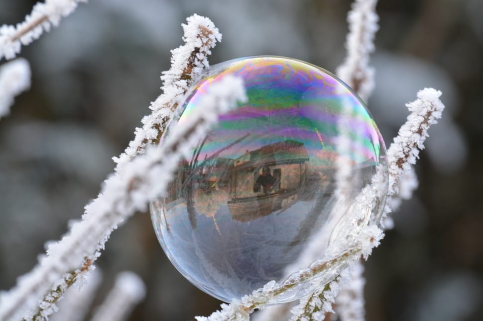 Winter, Snow, Frost, White, Soap Bubble, bubble, close-up preview