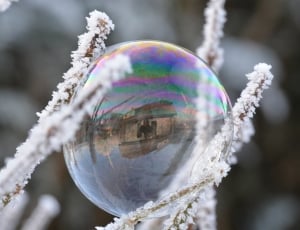 Winter, Snow, Frost, White, Soap Bubble, bubble, close-up thumbnail