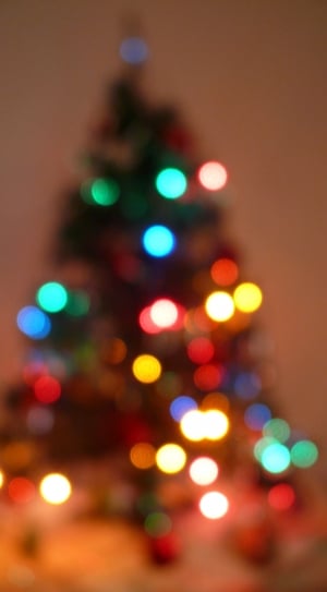 christmas tree with string lights free image | Peakpx
