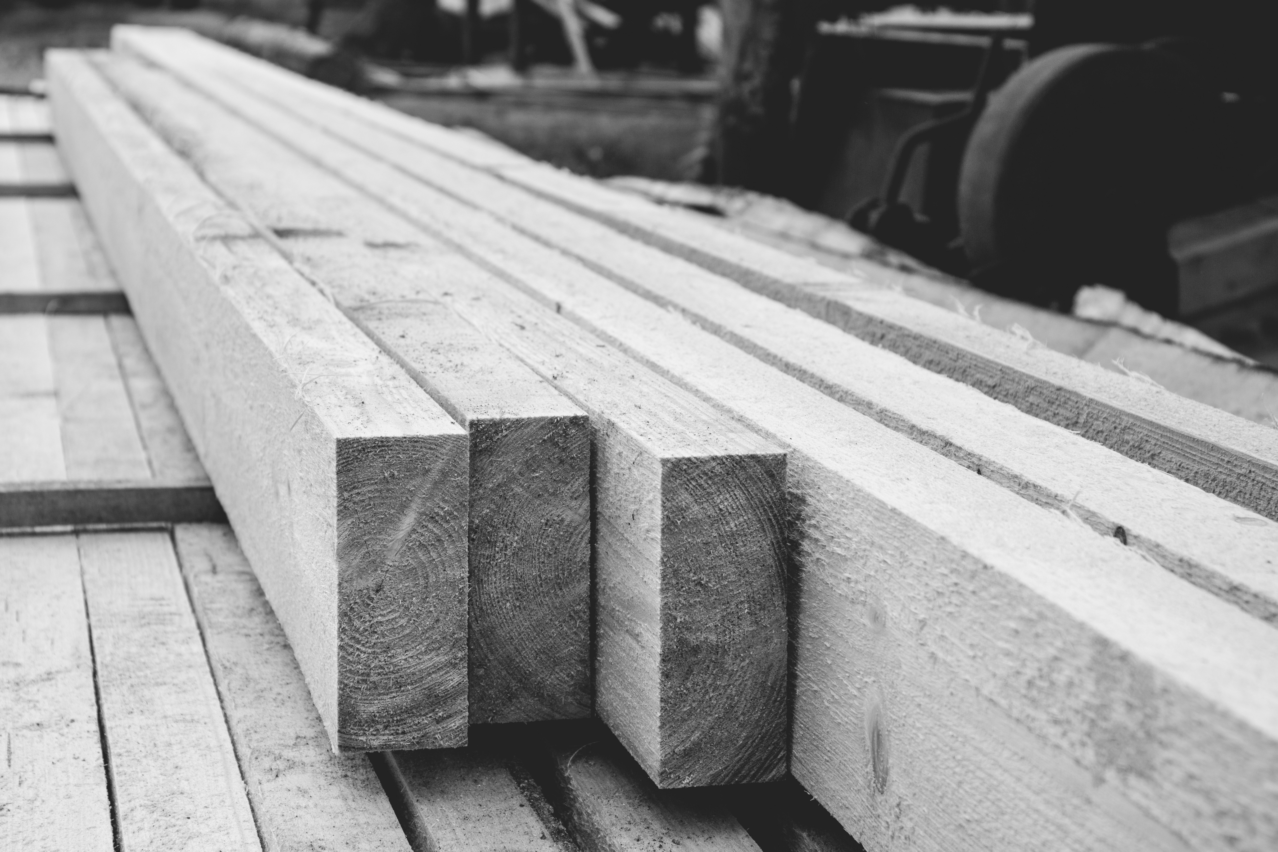 gray wooden plank lot
