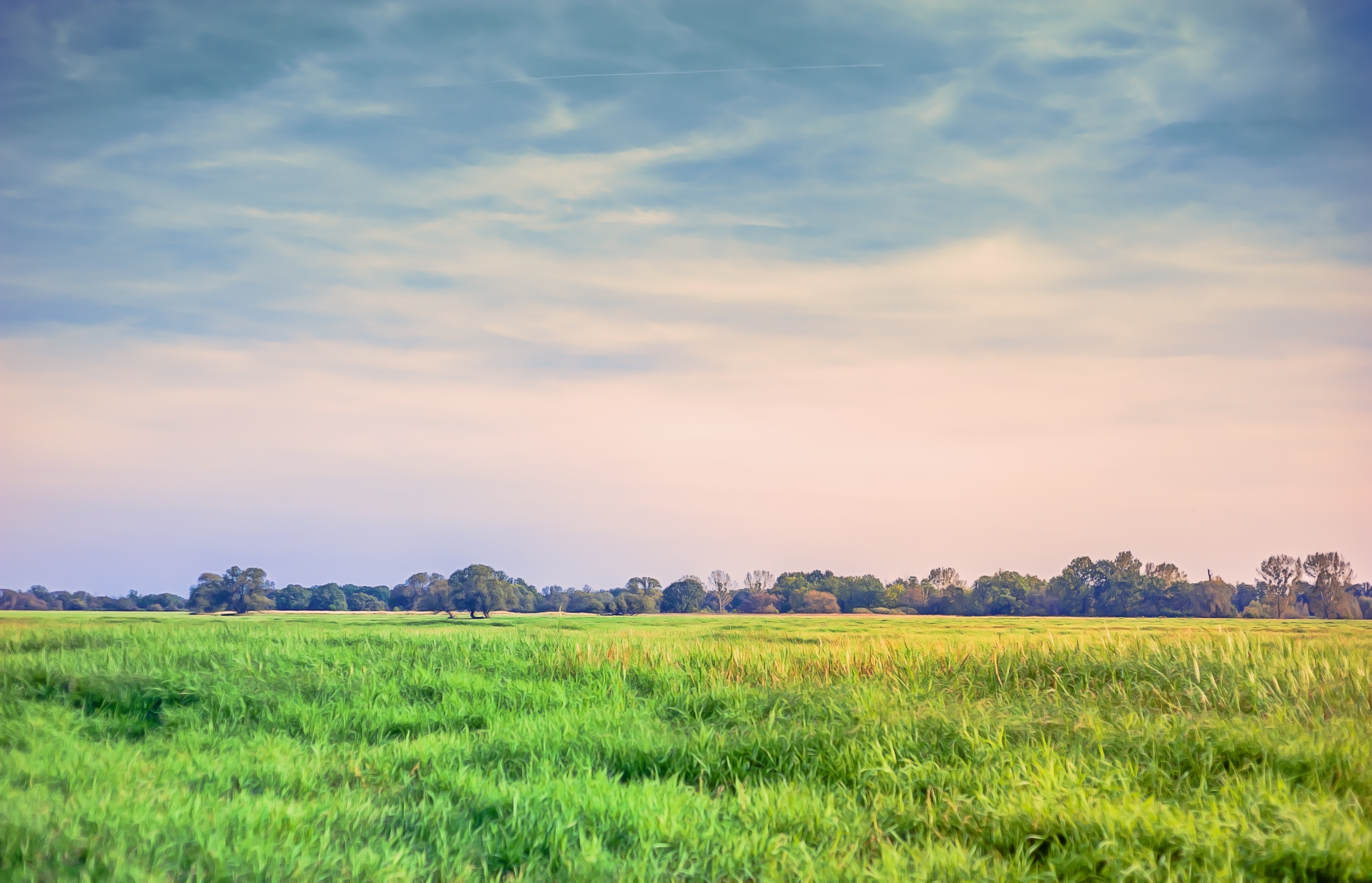 green grassy field free image | Peakpx