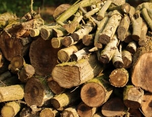 a pile of firewood thumbnail