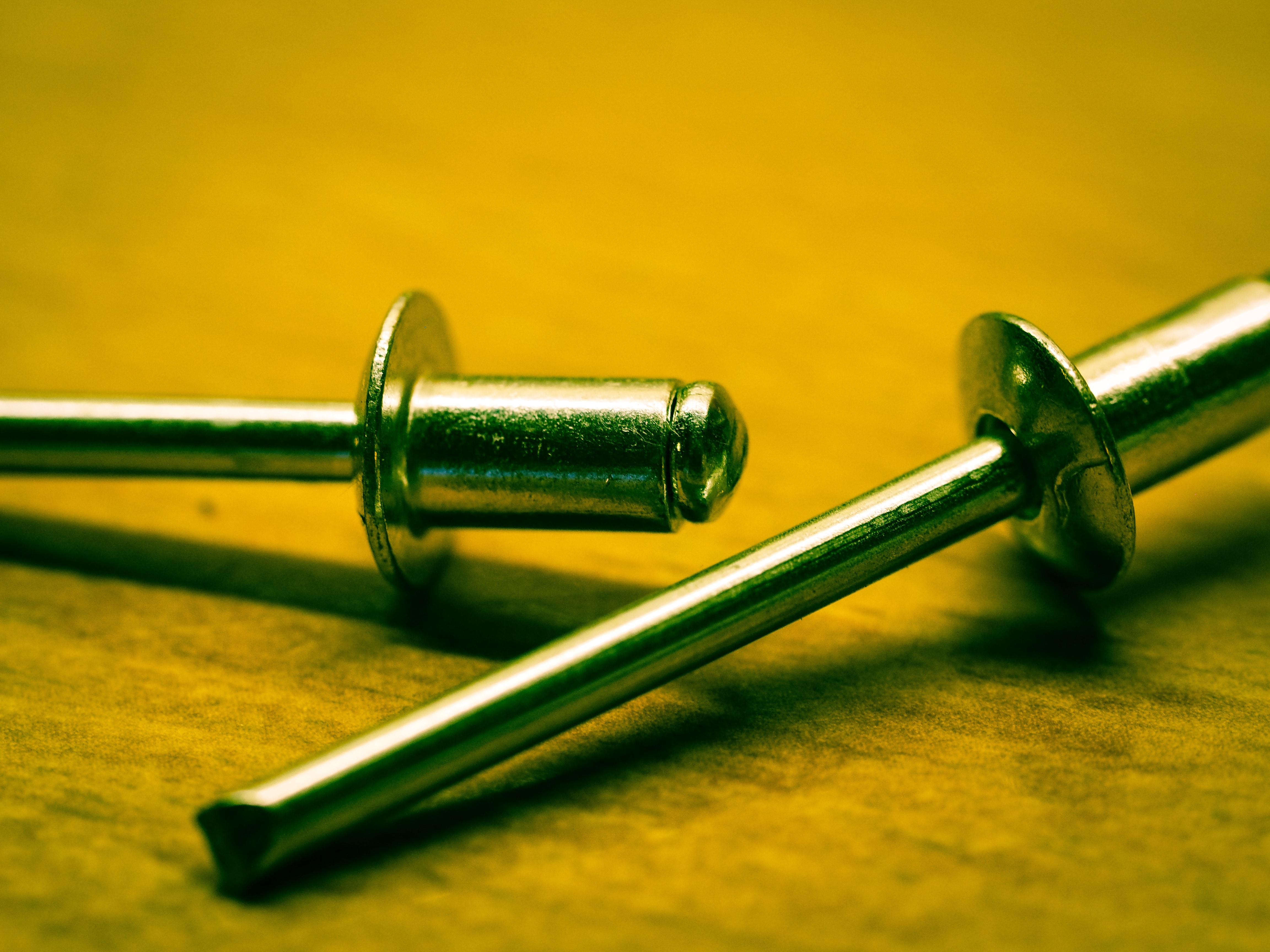 two stainless steel pins