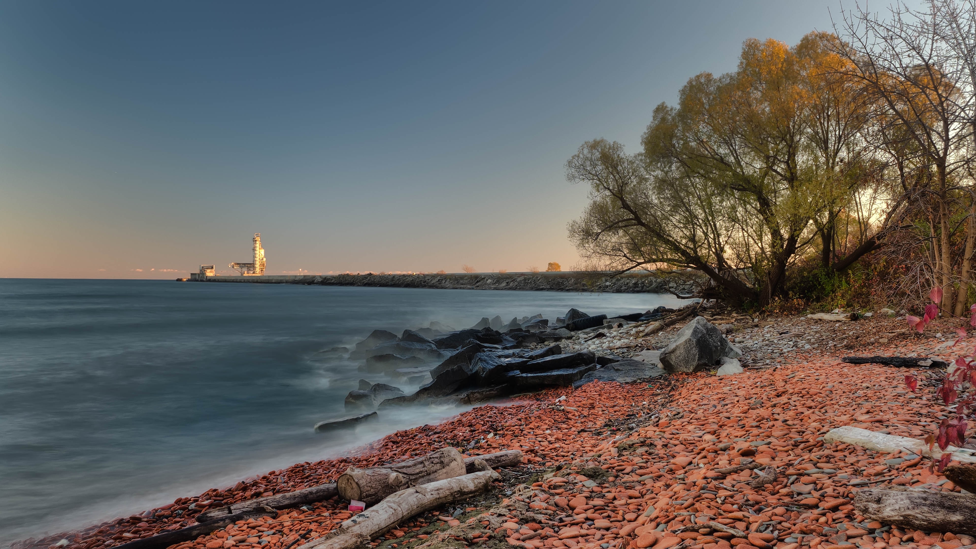 X Wallpaper Tree Beside Body Of Water Peakpx