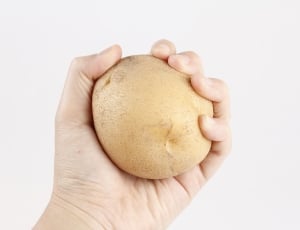potato thumbnail