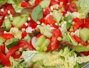 vegetable salad with sliced tomatoes thumbnail