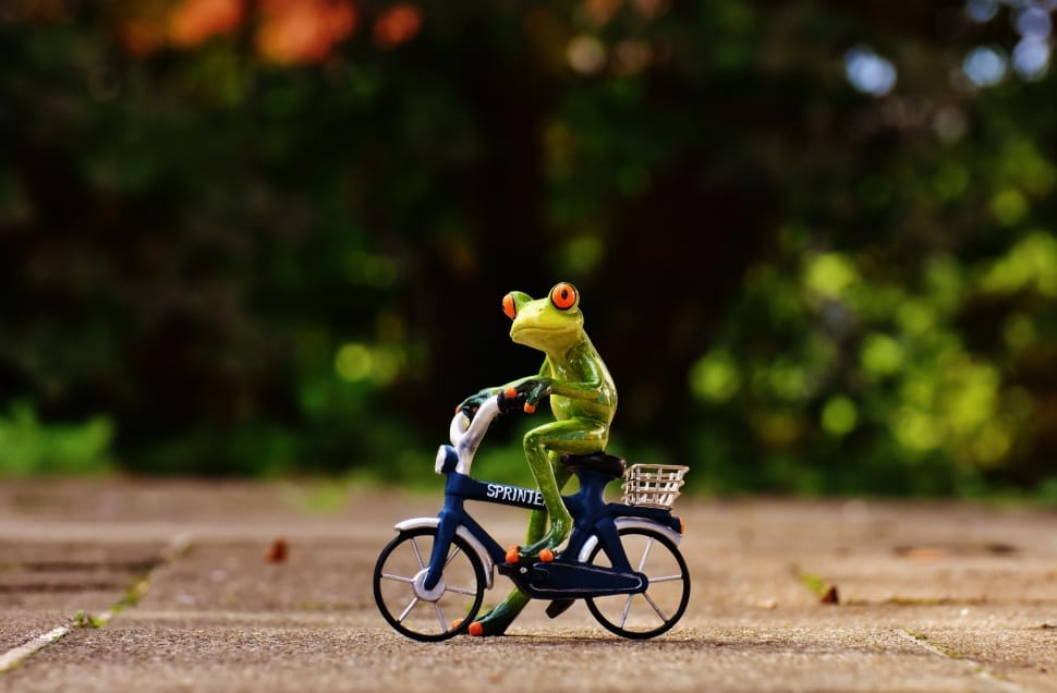frog riding a bike toy preview