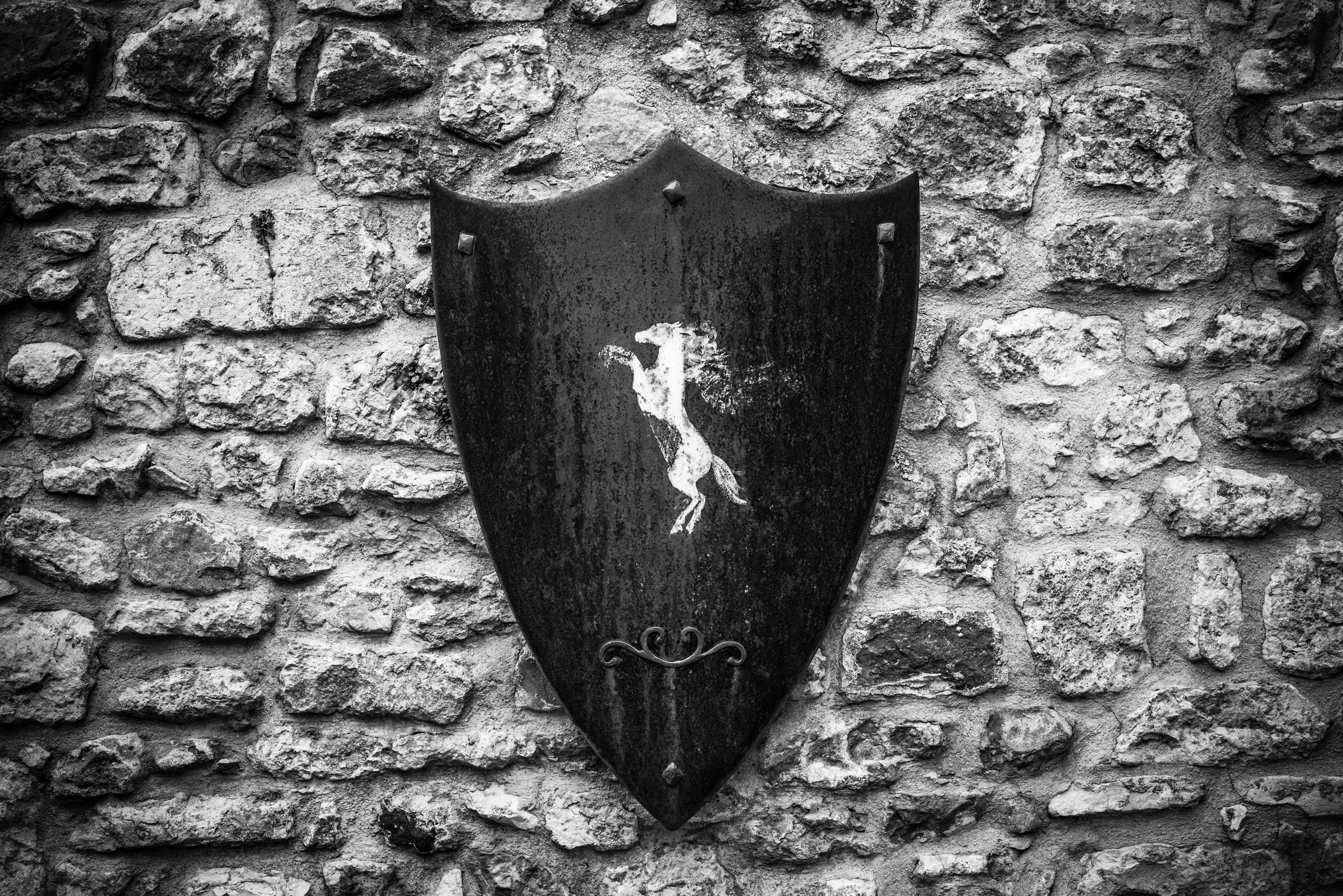 black and white horse print shield